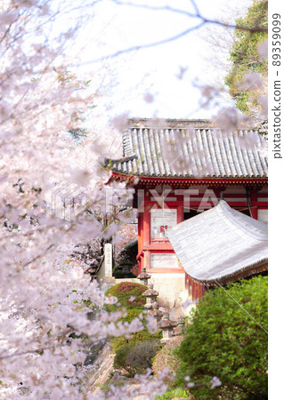 Kibitsu Shrine Kibitsu Shrine 89359099