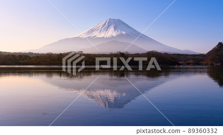 (Yamanashi Prefecture) Mt. Fuji and Lake Shoji surrounded by morning mist 89360332
