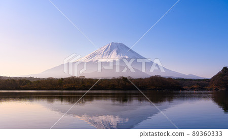 (Yamanashi Prefecture) Mt. Fuji and Lake Shoji surrounded by morning mist 89360333