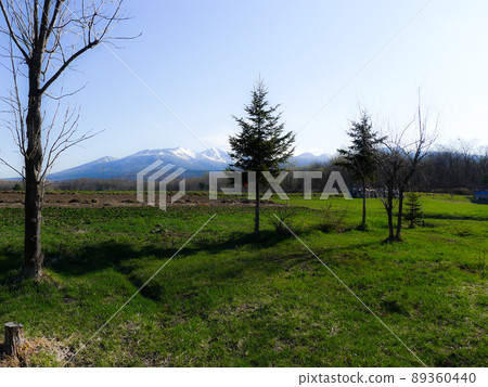 We will send you a letter of spring from the foothills of the northern country. 89360440