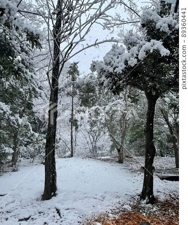 Even this is Tokyo 89360441