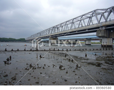 Edogawa clamming Edogawa clamming 89360580