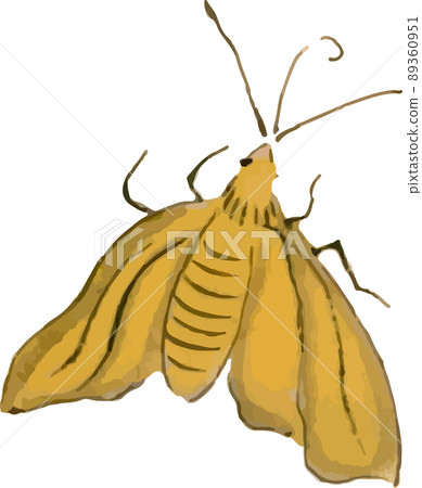 Moth 20 Moth 20 89360951