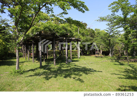 Tsukairaku Park, Tsu City, Mie Prefecture 89361253
