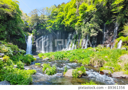 Shiraito Falls (Fujinomiya City) 89361356