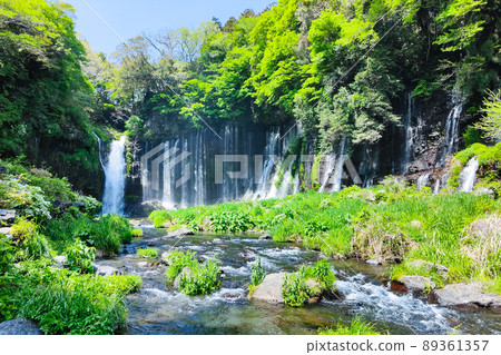 Shiraito Falls (Fujinomiya City) 89361357