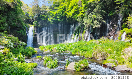 Shiraito Falls (Fujinomiya City) 89361358