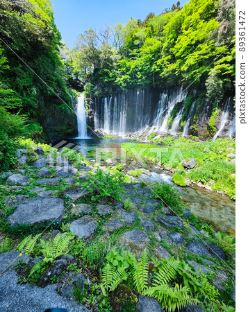 Shiraito Falls (Fujinomiya City) Shiraito Falls (Fujinomiya City) 89361472