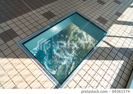 Naruto City, Tokushima Prefecture A swirling road where you can see the Naruto Strait swirling under the Onaruto Bridge 89361574