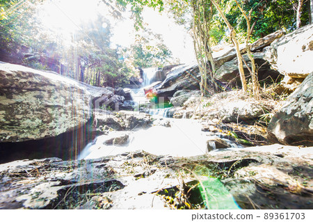 Tropical waterfall in rain forest Tropical waterfall in rain forest 89361703