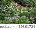 Hydrangea scenery 89361729