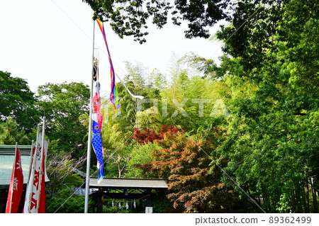 Carp streamer Carp streamer 89362499
