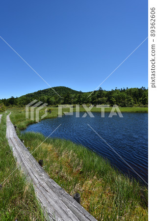 Kinunumayama trekking 89362606