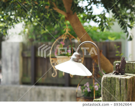 入口處有橄欖樹 [懸掛矮牽牛] 89362664