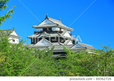 [愛媛縣]鮮綠色的松山城天守閣 89362726