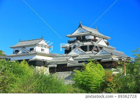 [Ehime Prefecture] Fresh green Matsuyama Castle castle tower 89362728