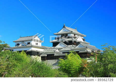 [Ehime Prefecture] Fresh green Matsuyama Castle castle tower 89362729