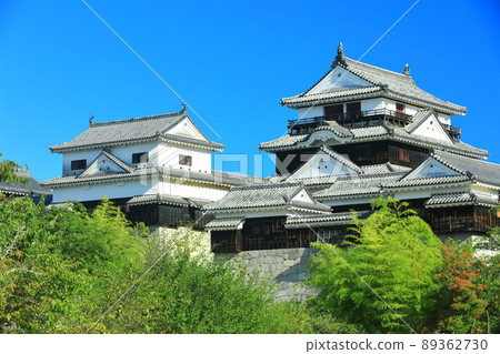 [Ehime Prefecture] Fresh green Matsuyama Castle castle tower 89362730