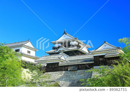 [Ehime Prefecture] Fresh green Matsuyama Castle castle tower 89362731