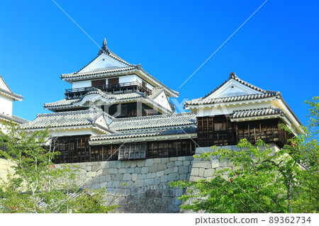 [愛媛縣]鮮綠色的松山城天守閣 89362734