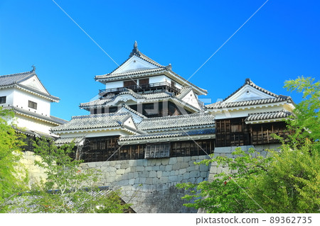 [愛媛縣]鮮綠色的松山城天守閣 89362735