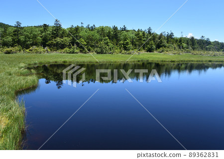 衣沼山徒步 89362831