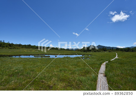 衣沼山徒步 衣沼山徒步 89362850