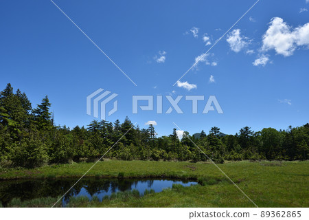 衣沼山徒步 衣沼山徒步 89362865