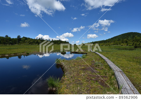 衣沼山徒步 89362906