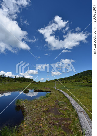 衣沼山徒步 89362907