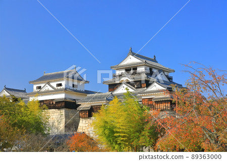 [愛媛縣]秋天的松山城，城堡塔 89363000