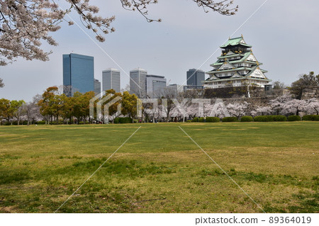 Osaka Prefecture, Japan Spring Osaka Castle Park Cherry blossoms in full bloom and skyscrapers around the magnificent castle tower Osaka Prefecture, Japan Spring Osaka Castle Park Cherry blossoms in full bloom and skyscrapers around the magnificent castle tower 89364019