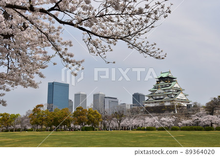 Osaka Prefecture, Japan Spring Osaka Castle Park Cherry blossoms in full bloom and skyscrapers around the magnificent castle tower Osaka Prefecture, Japan Spring Osaka Castle Park Cherry blossoms in full bloom and skyscrapers around the magnificent castle tower 89364020
