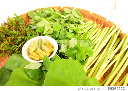 Fresh spring ingredients harvested in the vegetable garden: Japanese butterbur, trefoil, Japanese butterbur, Japanese pepper and simmered Japanese butterbur Fresh spring ingredients harvested in the vegetable garden: Japanese butterbur, trefoil, Japanese butterbur, Japanese pepper and simmered Japanese butterbur 89364222