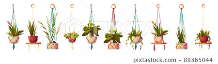 House plants in hanging pots, isolated flowers set House plants in hanging pots, isolated flowers set 89365044
