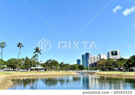 Holidays in Hawaii 89365429