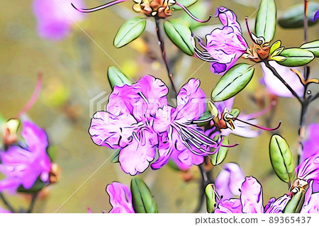 柔和的“Ezomurasaki 杜鵑花”插圖圖像 89365437