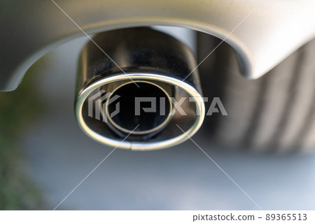 Harrier Harrier 89365513
