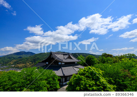 Blue maple and blue dragon hall Blue maple and blue dragon hall 89366346