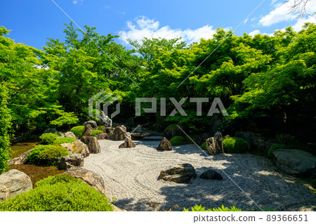 藍楓 89366651