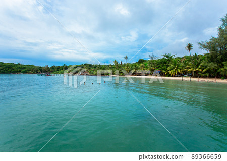 Coconut, Sky, Summer, Sun, Thailand 89366659