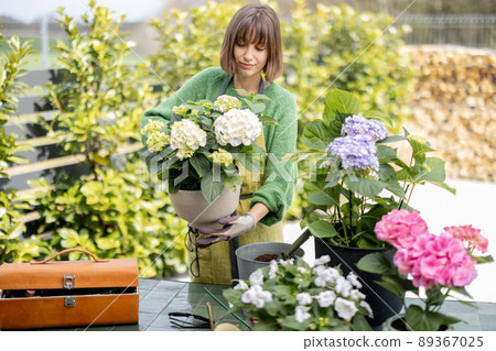 Young woman taking care of flowers in the garden Young woman taking care of flowers in the garden 89367025