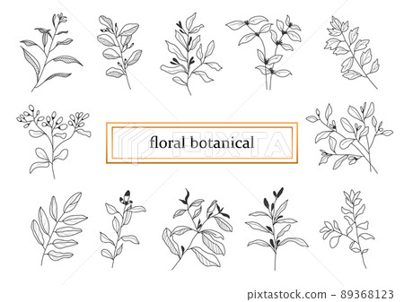 Hand drawn botanical set leaves and flowers for decoration. 89368123