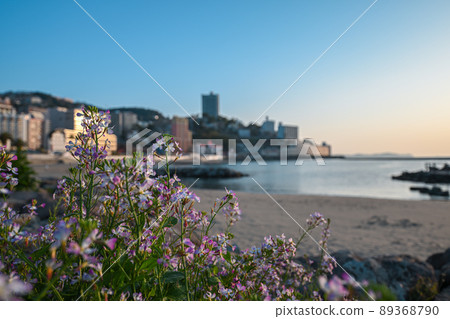 At Atami beach in the early morning At Atami beach in the early morning 89368790