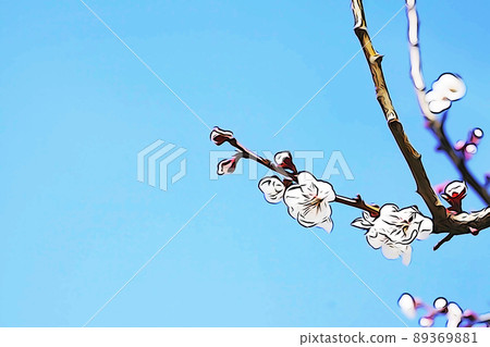 柔和的風格“白梅花”插圖圖像 柔和的風格“白梅花”插圖圖像 89369881