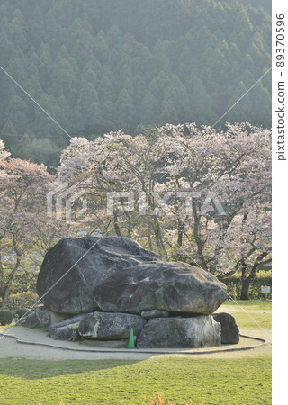 [Asuka Village, Nara Prefecture] Ishibutai Tumulus and Sakura 89370596