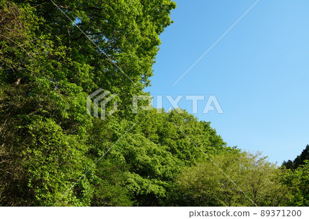 茨城縣佐倉川市,以藍天為背景的翠綠筑波林道景觀 茨城縣佐倉川市,以藍天為背景的翠綠筑波林道景觀 89371200