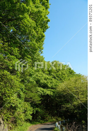 茨城縣佐倉川市,以藍天為背景的翠綠筑波林道景觀 茨城縣佐倉川市,以藍天為背景的翠綠筑波林道景觀 89371201