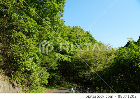 茨城縣佐倉川市，以藍天為背景的翠綠筑波林道景觀 89371202