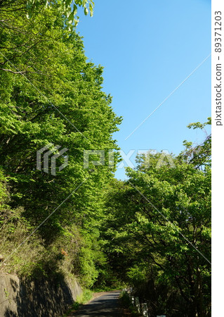 Sakuragawa City, Ibaraki Prefecture, a landscape of the fresh green Tsukuba forest road against the backdrop of the blue sky Sakuragawa City, Ibaraki Prefecture, a landscape of the fresh green Tsukuba forest road against the backdrop of the blue sky 89371203